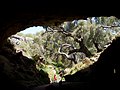 Stockyard Gully cave