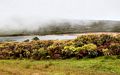 El Junco Lake