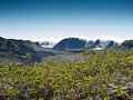 Sierra Negra caldera