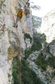 Verdon