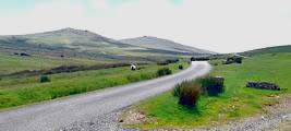 Adey Dartmoor