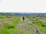 Adey Dartmoor