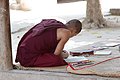 Monk studying