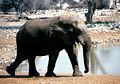 Etosha