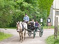 Rustic transport