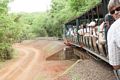 Train to Iguassu