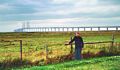 Oresund Bridge