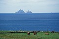 Skellig Islands