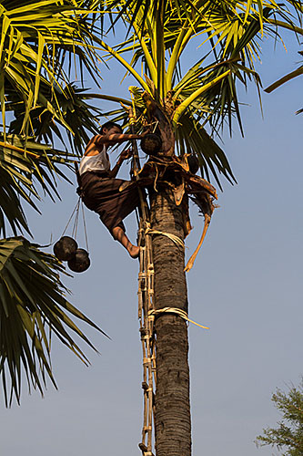 Myanmar 2013